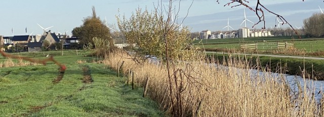 molens met groen hans uit Image.jpg