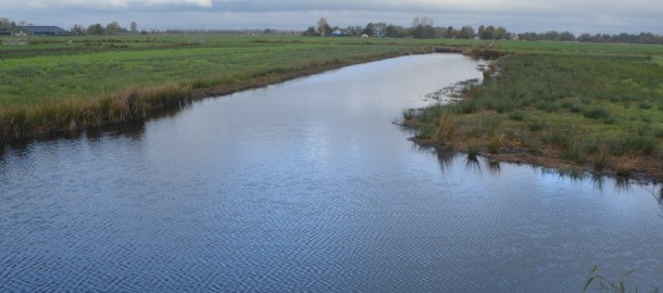 landschapsplaat groene hart wilnis DSC_0095